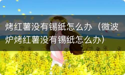 烤红薯没有锡纸怎么办（微波炉烤红薯没有锡纸怎么办）