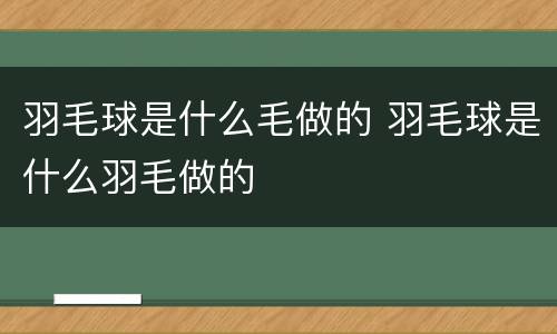 羽毛球是什么毛做的 羽毛球是什么羽毛做的
