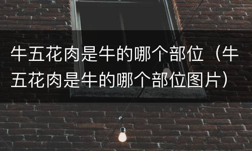 牛五花肉是牛的哪个部位（牛五花肉是牛的哪个部位图片）