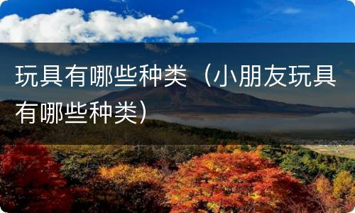 玩具有哪些种类（小朋友玩具有哪些种类）