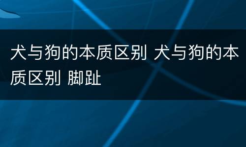 犬与狗的本质区别 犬与狗的本质区别 脚趾