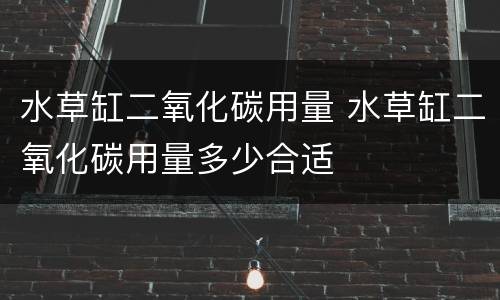 水草缸二氧化碳用量 水草缸二氧化碳用量多少合适