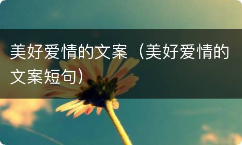 美好爱情的文案（美好爱情的文案短句）