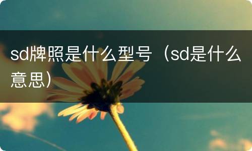 sd牌照是什么型号（sd是什么意思）