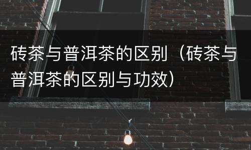 砖茶与普洱茶的区别（砖茶与普洱茶的区别与功效）