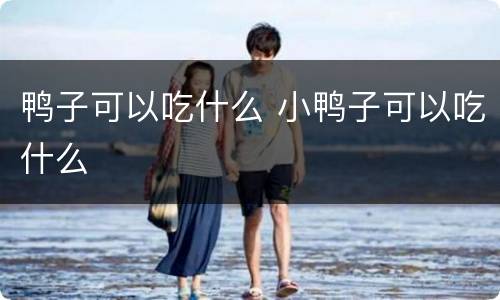 鸭子可以吃什么 小鸭子可以吃什么