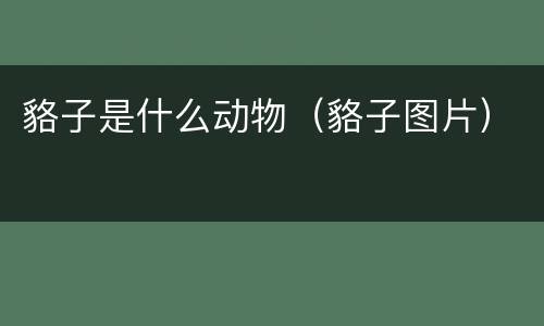 貉子是什么动物（貉子图片）