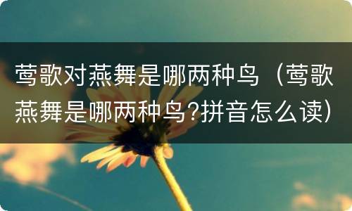 莺歌对燕舞是哪两种鸟（莺歌燕舞是哪两种鸟?拼音怎么读）