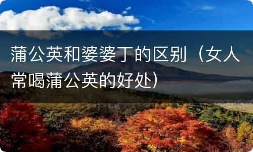 蒲公英和婆婆丁的区别（女人常喝蒲公英的好处）