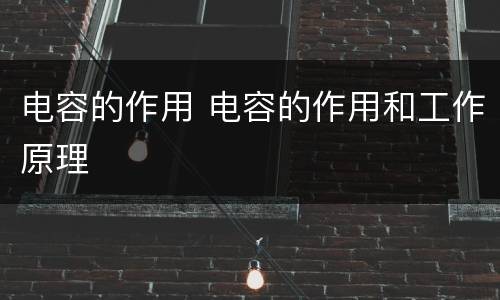 电容的作用 电容的作用和工作原理