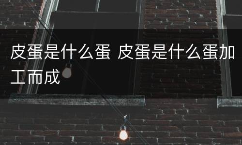 皮蛋是什么蛋 皮蛋是什么蛋加工而成