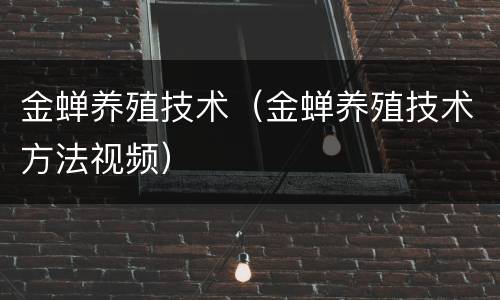 金蝉养殖技术（金蝉养殖技术方法视频）