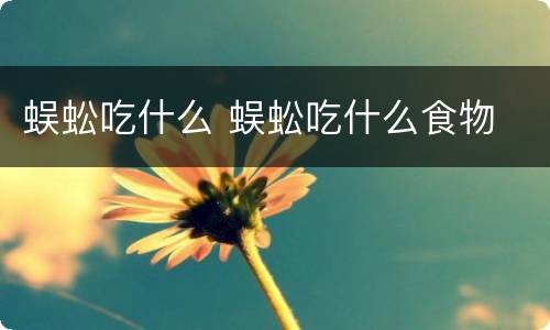 蜈蚣吃什么 蜈蚣吃什么食物