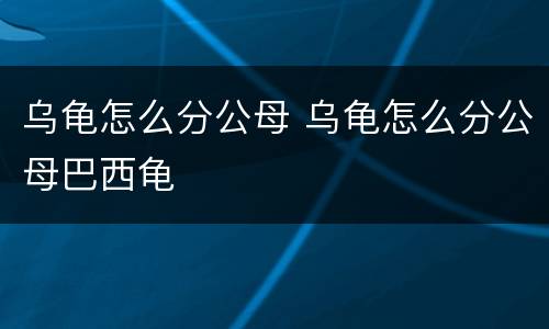 乌龟怎么分公母 乌龟怎么分公母巴西龟