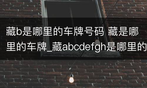 藏b是哪里的车牌号码 藏是哪里的车牌_藏abcdefgh是哪里的车牌号