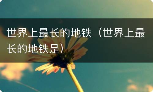 世界上最长的地铁（世界上最长的地铁是）