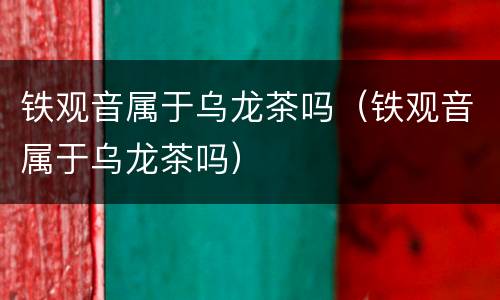 铁观音属于乌龙茶吗（铁观音属于乌龙茶吗）