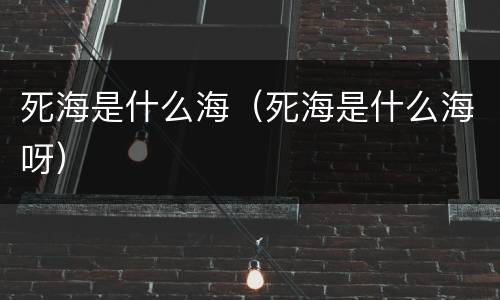 死海是什么海（死海是什么海呀）