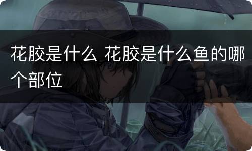 花胶是什么 花胶是什么鱼的哪个部位