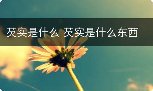 芡实是什么 芡实是什么东西