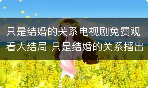 只是结婚的关系电视剧免费观看大结局 只是结婚的关系播出时间