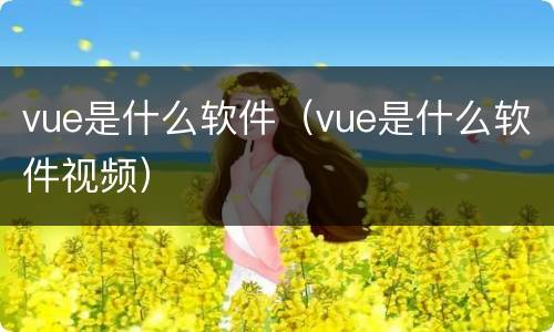 vue是什么软件（vue是什么软件视频）