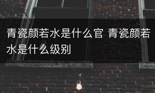 青瓷颜若水是什么官 青瓷颜若水是什么级别