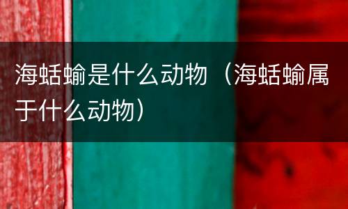 海蛞蝓是什么动物（海蛞蝓属于什么动物）