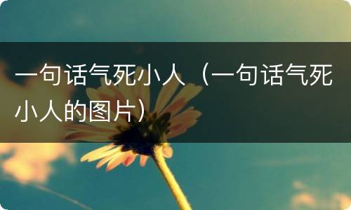 一句话气死小人（一句话气死小人的图片）