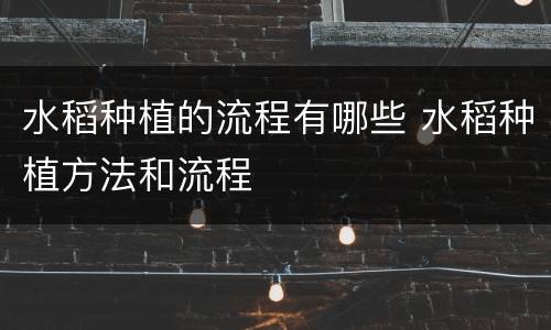 水稻种植的流程有哪些 水稻种植方法和流程