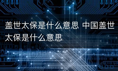 盖世太保是什么意思 中国盖世太保是什么意思