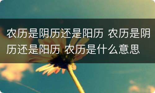 农历是阴历还是阳历 农历是阴历还是阳历 农历是什么意思