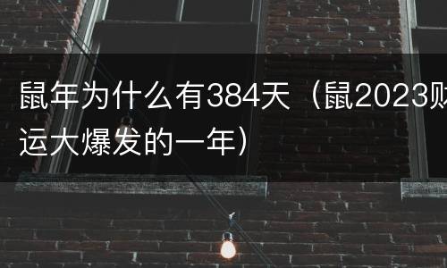 鼠年为什么有384天（鼠2023财运大爆发的一年）