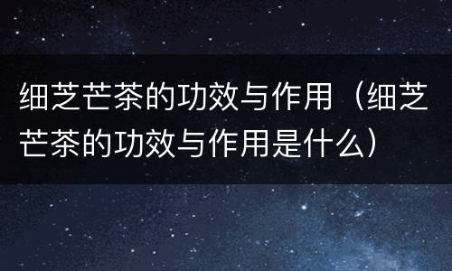 细芝芒茶的功效与作用（细芝芒茶的功效与作用是什么）
