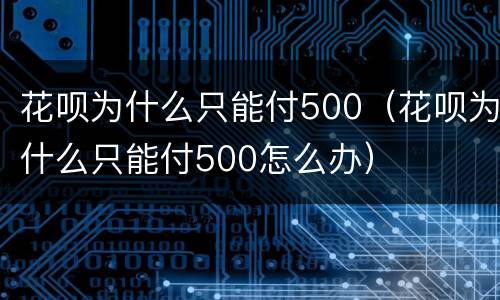 花呗为什么只能付500（花呗为什么只能付500怎么办）