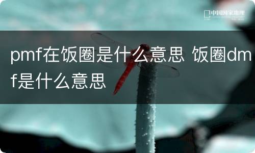 pmf在饭圈是什么意思 饭圈dmf是什么意思