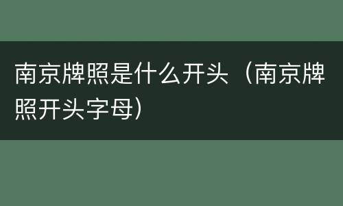 南京牌照是什么开头（南京牌照开头字母）
