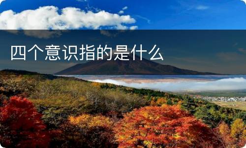 四个意识指的是什么