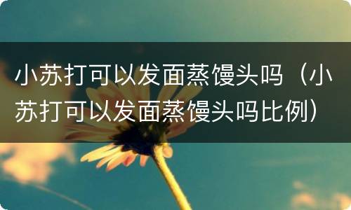 小苏打可以发面蒸馒头吗（小苏打可以发面蒸馒头吗比例）