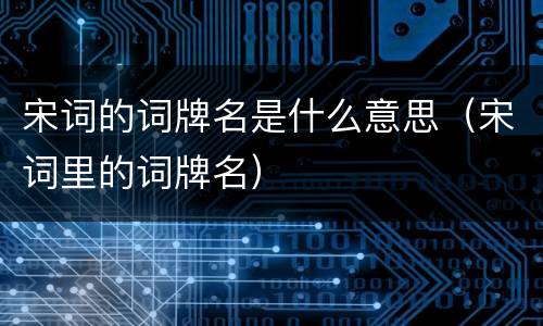 宋词的词牌名是什么意思（宋词里的词牌名）