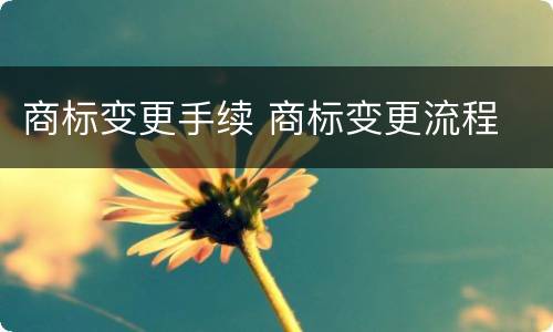 商标变更手续 商标变更流程