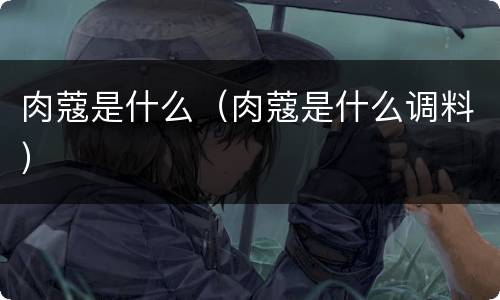 肉蔻是什么（肉蔻是什么调料）