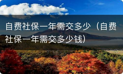 自费社保一年需交多少（自费社保一年需交多少钱）