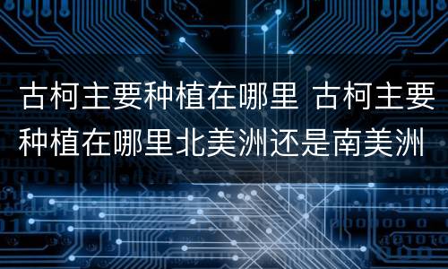 古柯主要种植在哪里 古柯主要种植在哪里北美洲还是南美洲