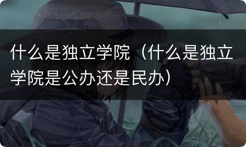 什么是独立学院（什么是独立学院是公办还是民办）