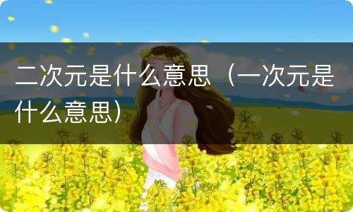 二次元是什么意思（一次元是什么意思）