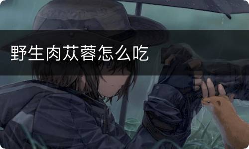 野生肉苁蓉怎么吃