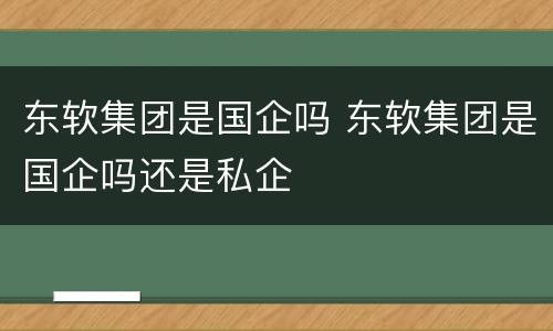 东软集团是国企吗 东软集团是国企吗还是私企