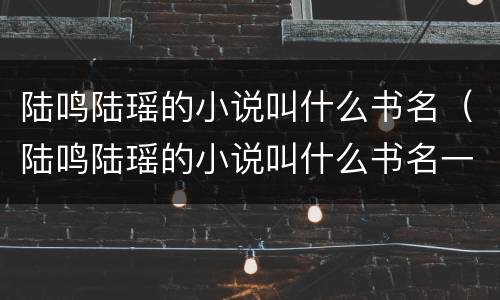 陆鸣陆瑶的小说叫什么书名（陆鸣陆瑶的小说叫什么书名一）