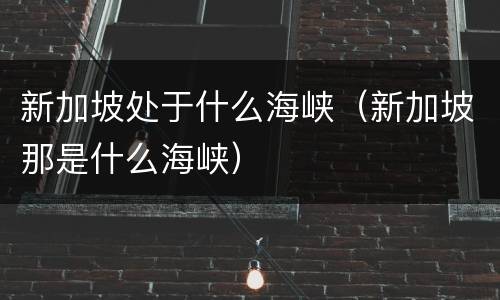 新加坡处于什么海峡（新加坡那是什么海峡）